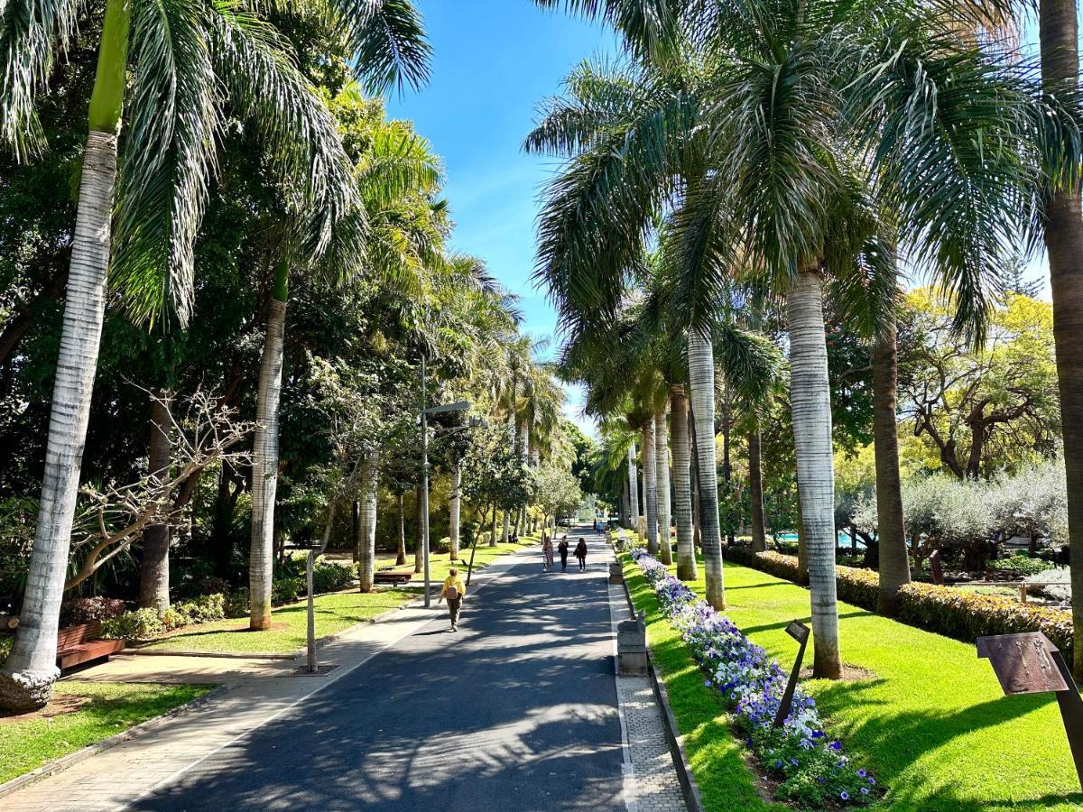 דירות סנטה קרוז דה טנריף Centrico Y Moderno Junto Al Parque מראה חיצוני תמונה